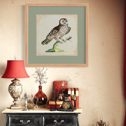 アンティークイタリアンフクロウ版木、銅版、版画ヴィンテージ自然 ポスター