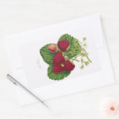 アンティークイチゴプリントシール 長方形シール (封筒)