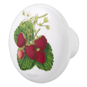 アンティークイチゴプリントセラミックノブ セラミックノブ (右)