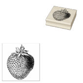 アンティークイチゴ植物学 ラバースタンプ (押印)