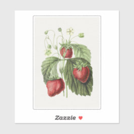 アンティークイラストレーションのフラワーレーヌデベルジュ。 シール