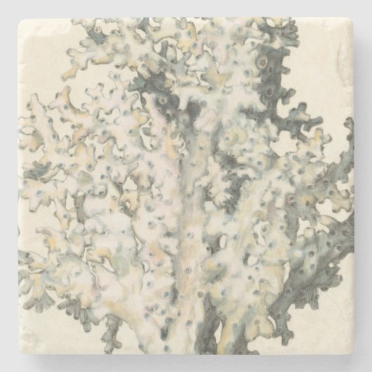 アンティークウォーターカラーサンゴ ストーンコースター (正面)