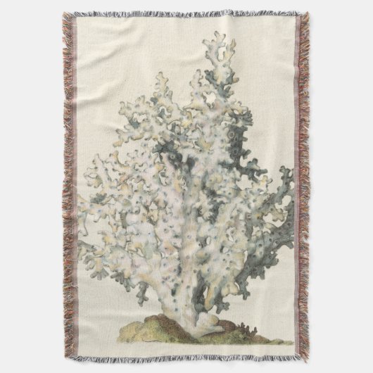 アンティークウォーターカラーサンゴ スローブランケット (正面縦)