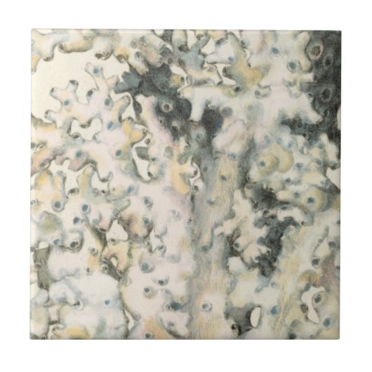 アンティークウォーターカラーサンゴ タイル (正面)