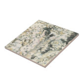 アンティークウォーターカラーサンゴ タイル (側面)