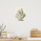 アンティークウォーターカラーサンゴ ポスター (キッチン)