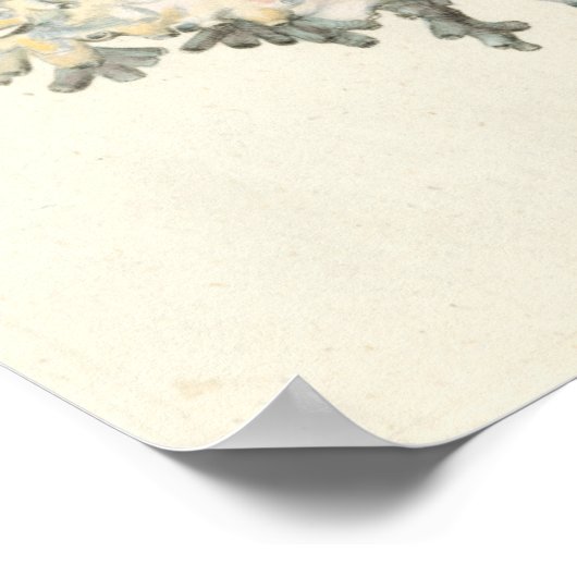 アンティークウォーターカラーサンゴ ポスター (角)