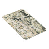 アンティークウォーターカラーサンゴ マグネット (右側)