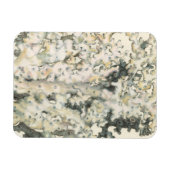 アンティークウォーターカラーサンゴ マグネット (横)