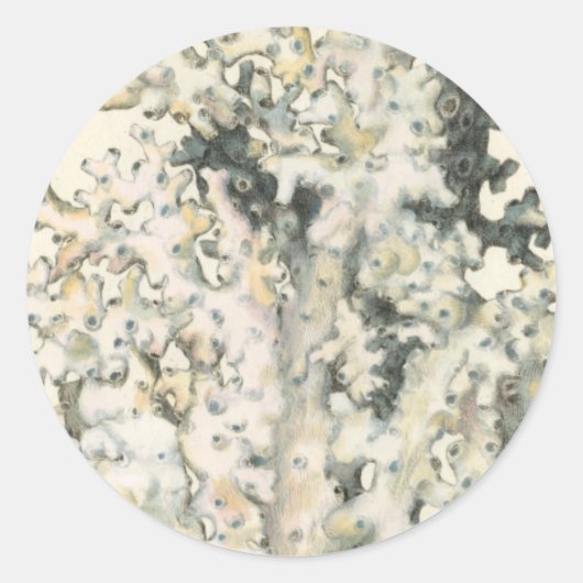 アンティークウォーターカラーサンゴ ラウンドシール (正面)