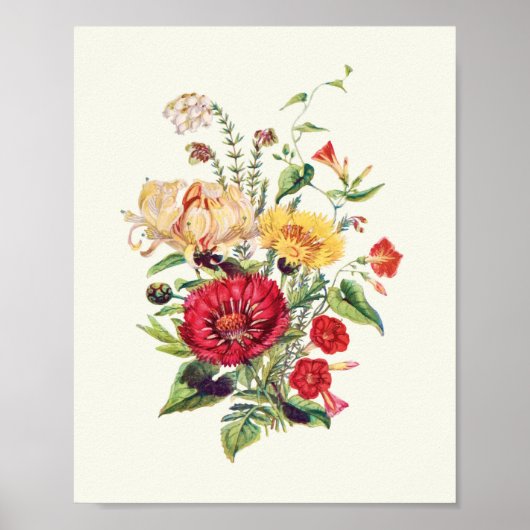 アンティークウォーターカラーボタニカルプリント ポスター (正面)