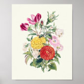 アンティークウォーターカラーボタニカルプリント ポスター (正面)