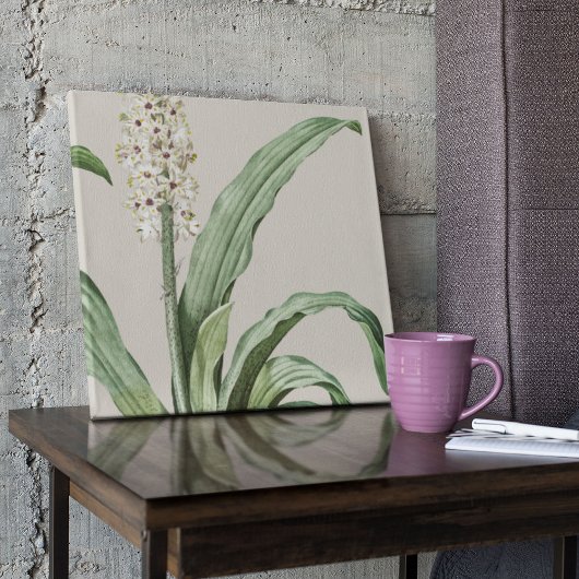 アンティークウォーターカラーボタニカルプリント ポスター