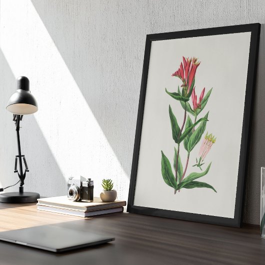 アンティークウォーターカラーボタニカルプリント ポスター