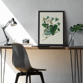 アンティークウォーターカラーボタニカルプリント ポスター