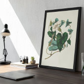 アンティークウォーターカラーボタニカルプリント ポスター