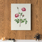 アンティークウォーターカラーボタニカルプリント ポスター