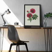 アンティークウォーターカラーボタニカルプリント ポスター