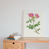 アンティークウォーターカラーボタニカルプリント ポスター