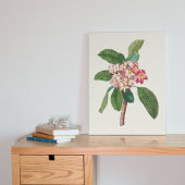 アンティークウォーターカラーボタニカルプリント ポスター