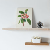 アンティークウォーターカラーボタニカルプリント ポスター