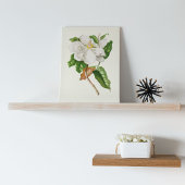 アンティークウォーターカラーボタニカルプリント ポスター