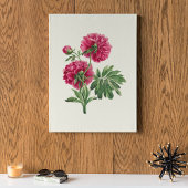 アンティークウォーターカラーボタニカルプリント ポスター