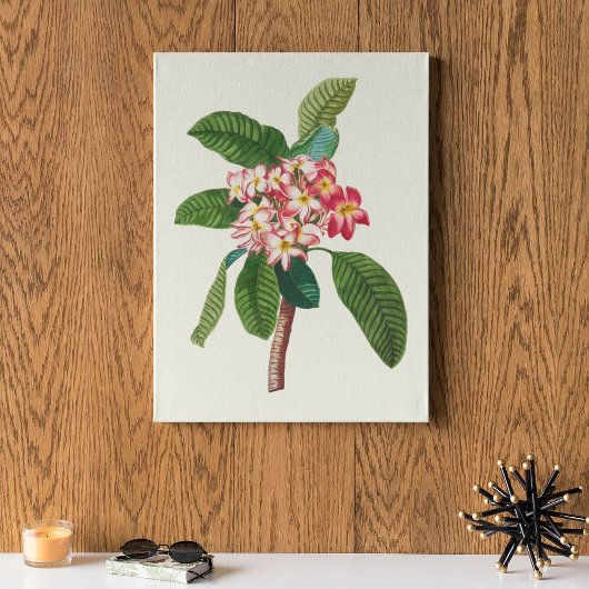 アンティークウォーターカラーボタニカルプリント ポスター