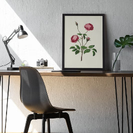 アンティークウォーターカラーボタニカルプリント ポスター