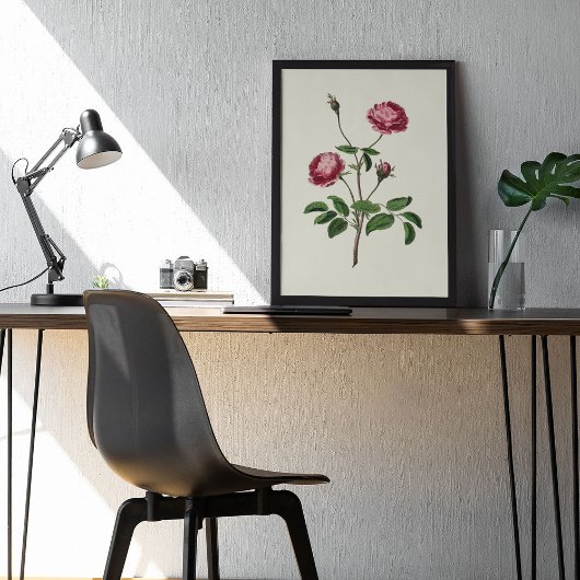 アンティークウォーターカラーボタニカルプリント ポスター