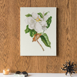 アンティークウォーターカラーボタニカルプリント ポスター