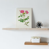 アンティークウォーターカラーボタニカルプリント ポスター