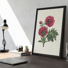 アンティークウォーターカラーボタニカルプリント ポスター