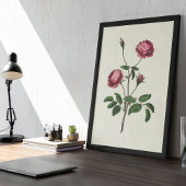 アンティークウォーターカラーボタニカルプリント ポスター