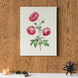 アンティークウォーターカラーボタニカルプリント ポスター