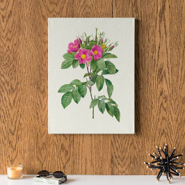 アンティークウォーターカラーボタニカルプリント ポスター