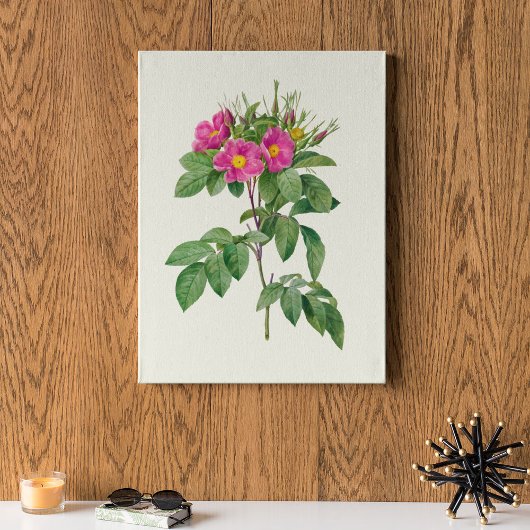 アンティークウォーターカラーボタニカルプリント ポスター