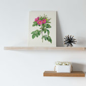 アンティークウォーターカラーボタニカルプリント ポスター