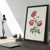 アンティークウォーターカラーボタニカルプリント ポスター