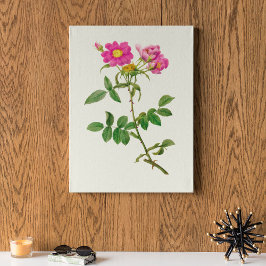 アンティークウォーターカラーボタニカルプリント ポスター