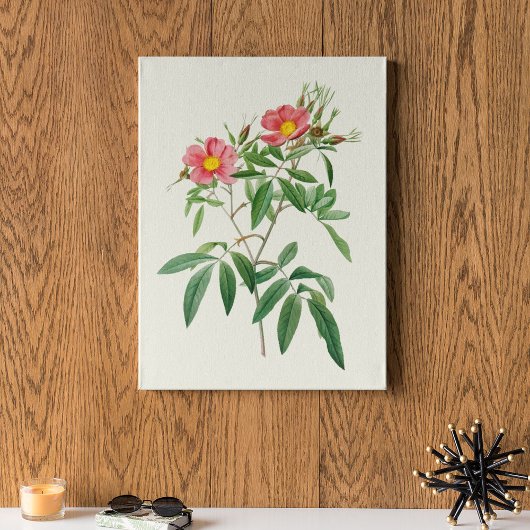 アンティークウォーターカラーボタニカルプリント ポスター