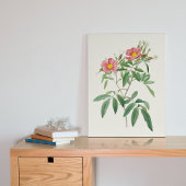 アンティークウォーターカラーボタニカルプリント ポスター