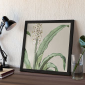 アンティークウォーターカラーボタニカルプリント ポスター