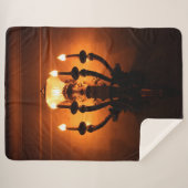 アンティークウォールライト シェルパブランケット (正面(横))