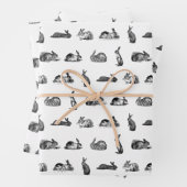 アンティークウサギヴィンテージアートカスタムカラー ラッピングペーパーシート (インサイチュ)