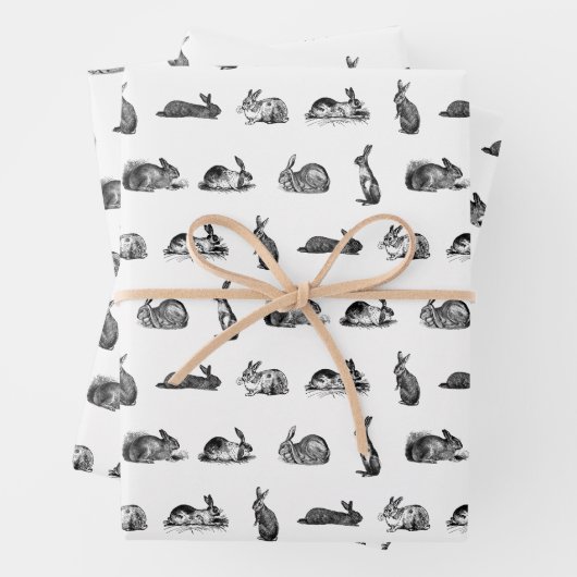 アンティークウサギヴィンテージアートカスタムカラー ラッピングペーパーシート (インサイチュ)