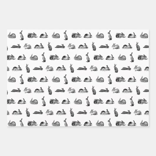 アンティークウサギヴィンテージアートカスタムカラー ラッピングペーパーシート (正面)