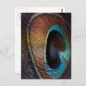 アンティークウズピーコックフェザーアイ ポストカード (正面/裏面)