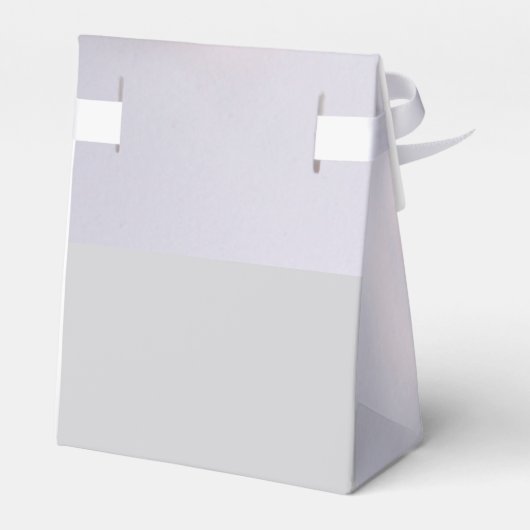 アンティークカメラ フェイバーボックス (裏面サイド)