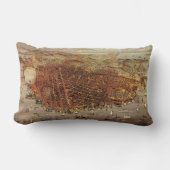 アンティークカリフォルニア州サンフランシスコの航空地図 ランバークッション (正面)